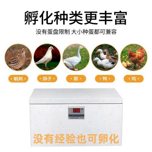 新家用小型孵化机自动恒温孵化器水床孵蛋器鸡鸭鹅鸽子Z鹌鹑包教