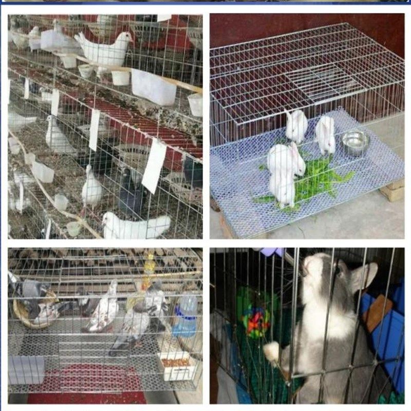 新养殖网围栏网铁丝网养鸡网家y用鸽舍兔笼宠物笼鸟笼镀锌网片隔,五金/工具,护栏/隔离栏,淘宝优惠券,粉丝福利购,淘宝优惠卷