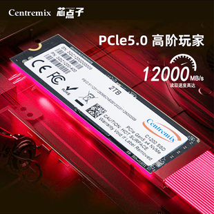 M.2笔记本电脑台式 PCIe5.0 芯点子 m2固态硬盘2TB C1200 机SSD