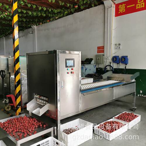 DQ达桥工业型荔枝去核机捅核机商用自动化设备原创直销果鲜切
