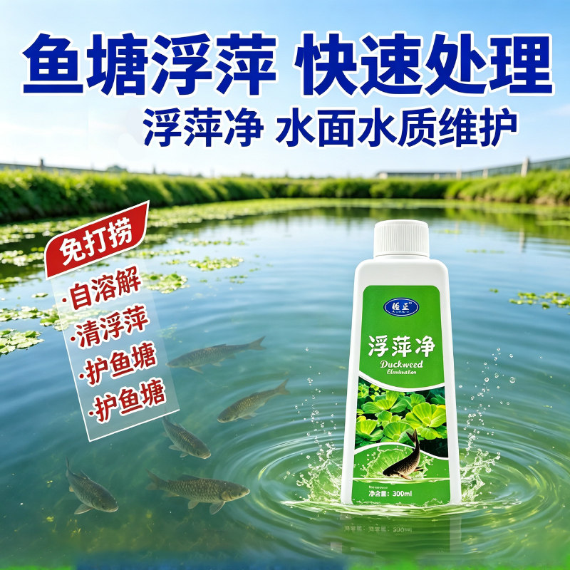 浮萍净正品浮萍清除剂专杀浮萍克星鱼虾蟹塘养殖浮萍一扫光非鱼药