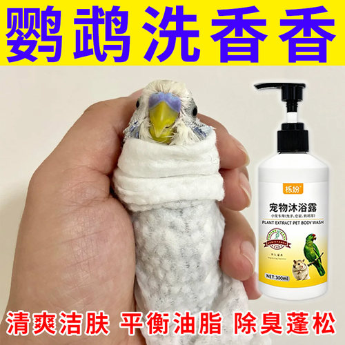 鹦鹉沐浴露除臭专用豚鼠荷兰猪沐浴露抗菌除臭除螨豚鼠洗澡用品