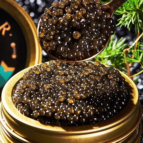 A级鲟鱼籽酱即食黑鱼子酱罐头10g海鲜寿司鱼籽酱