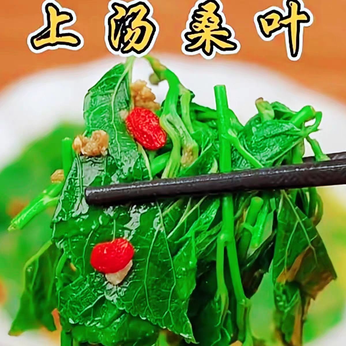 桑芽菜250g酒餐 鲜桑叶芽半成品嫩桑叶商用桑叶菜冷冻