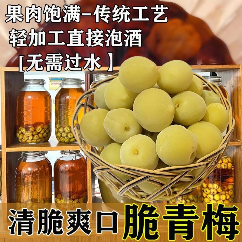 青梅泡酒专用现摘新鲜果腌制半成品省事梅子酒无需处理精选果脯爽口开胃方便酸甜便捷家庭果酒小零食果干轻加工解腻蜜饯简单解馋