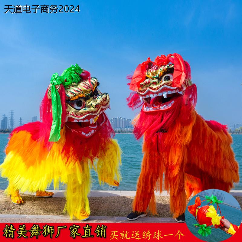 中国风舞龙舞狮道具春节