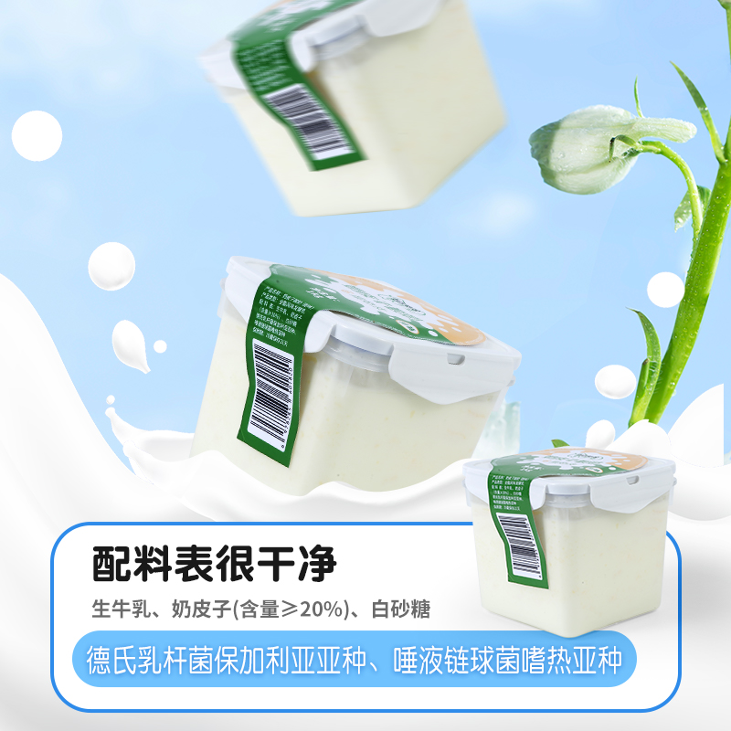 网红酸奶牧少主奶皮子酸奶六层奶皮酸奶plus版580g*2盒饮品