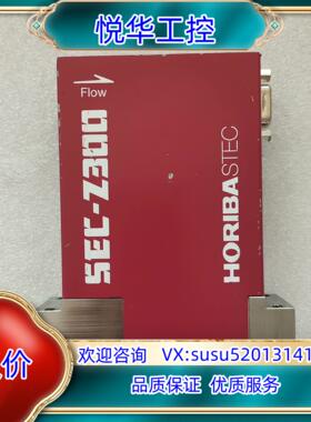 原装HORIBA STEC计 Z313M 788-08000询价