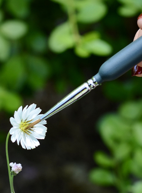 花百事人工授粉笔刷番茄西瓜蓝莓果树肉锥多肉西红柿花粉授粉工具