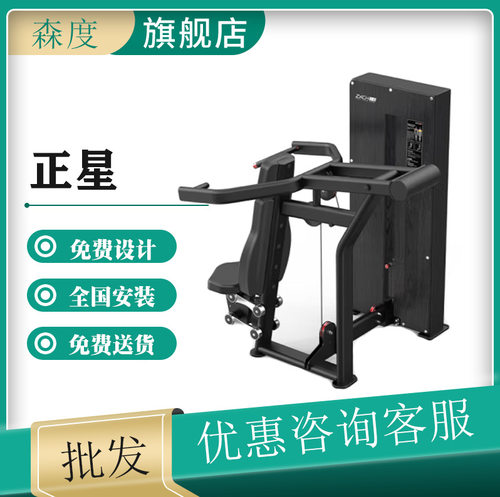 正星（ZXCH）坐式推肩训练器三角肌胸肌综合训练器商用级健身器材