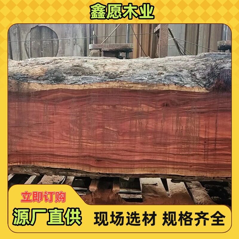 非洲刚果花梨原木金花梨亚花梨替代品非洲花梨木大板料家具料