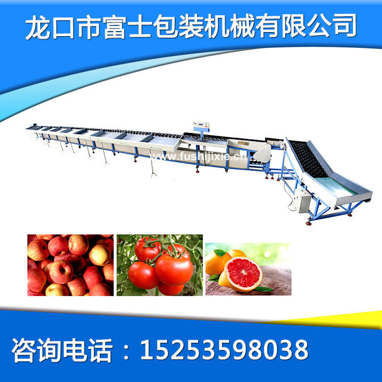 水果智能选果机大小重量分拣