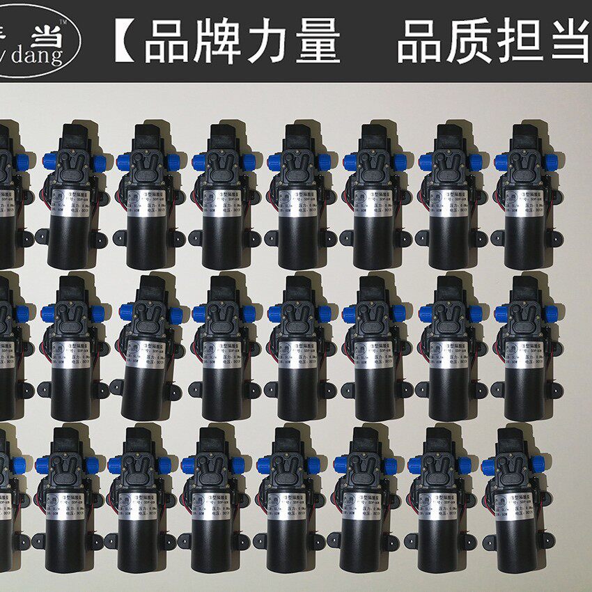 包邮4分接口小水泵家用微型水泵自吸泵直流12Ｖ抽水泵电泵