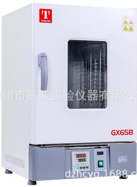 泰斯特GX125B(D)热空气消毒箱（干烤灭菌箱/远红外干燥箱）