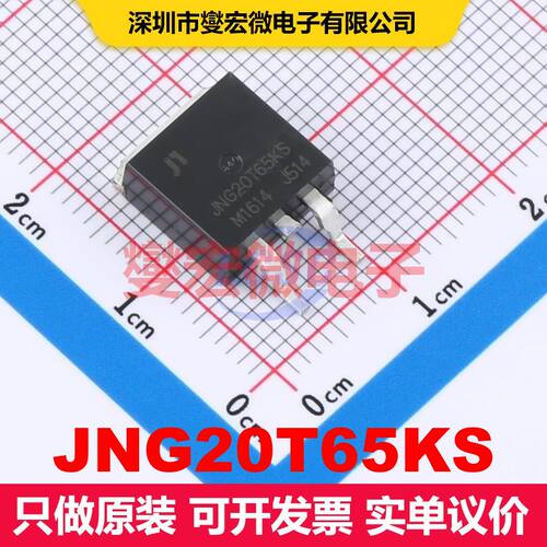 JNG20T65KS TO-263 单IGBT 晶体管 分立器件