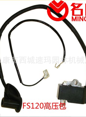 Ignition Coil  FS120 120R 200 200R 202 4134-400-1301