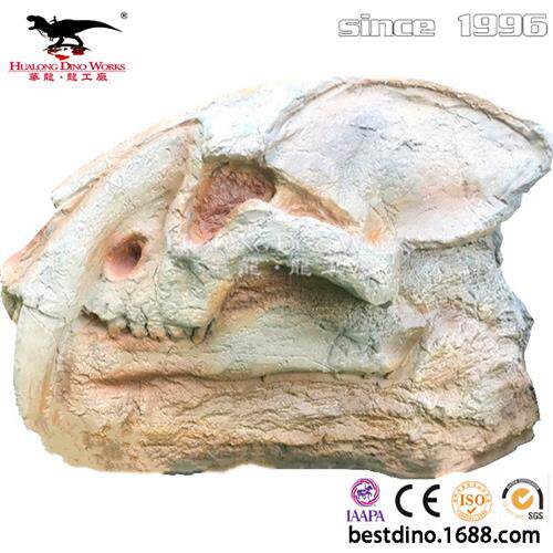 华龙仿真恐龙化石头骨架动物化石收藏摆件博物馆恐龙科普展览场