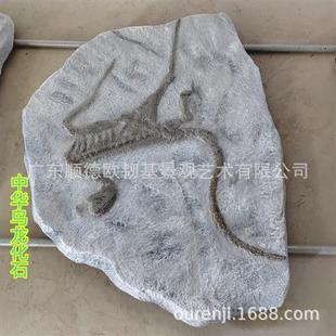 玻璃钢鱼类化石三叶虫龙模型科普教学地质古生物动物标本原石雕塑