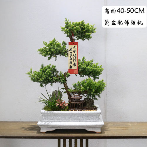 同城配送，两小时达