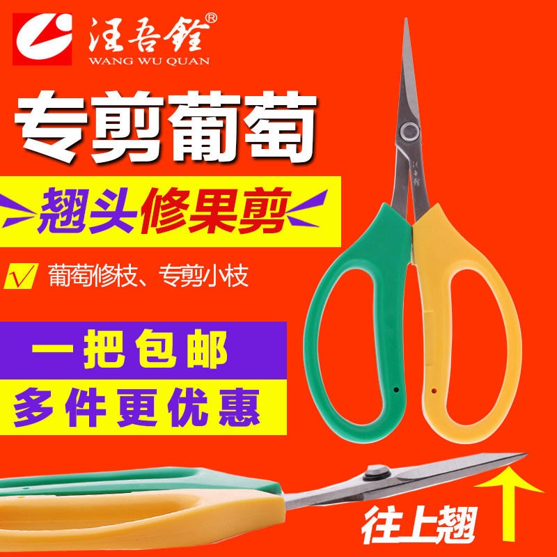汪吾铨翘头蔬果剪稀果葡萄修果剪刀2108果树修剪多肉盆栽景修枝剪图片
