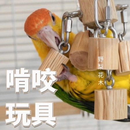 凯克中大型鹦鹉不锈钢玩具啃咬金刚灰鹦鹉益智训练野梨花木磨嘴