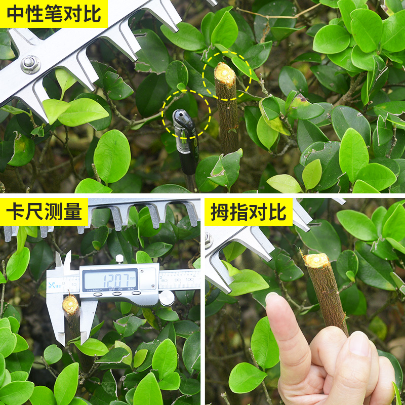 极速充电式无f刷绿篱机锂电动小型单手弯刀采茶机茶叶球树修剪机