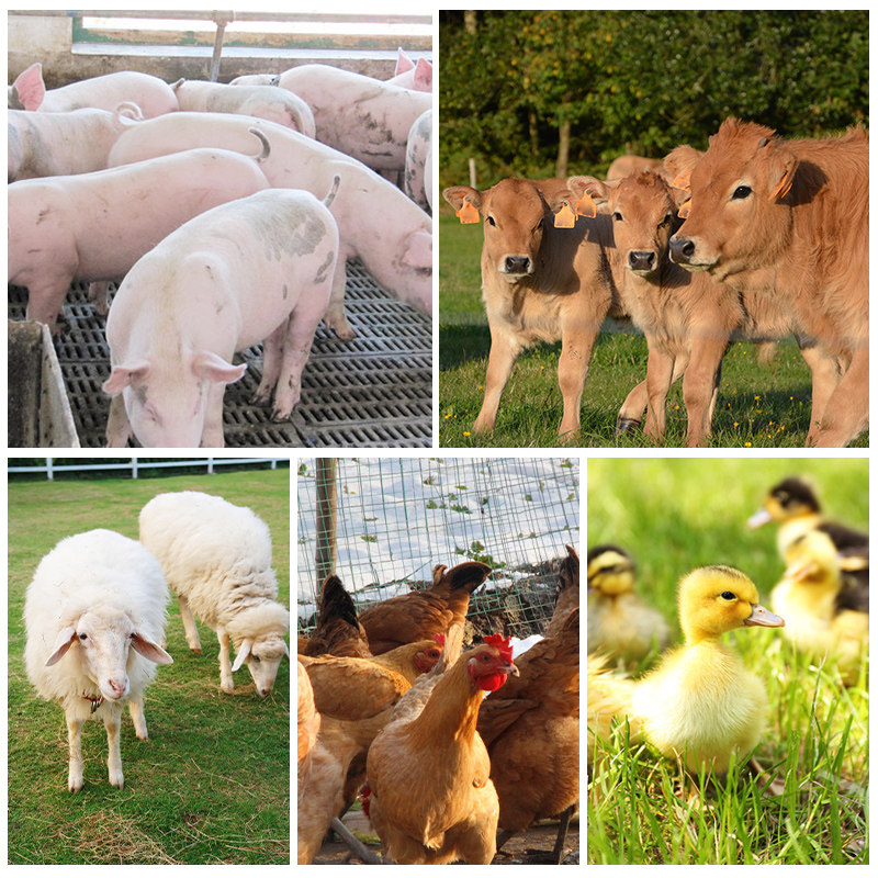 极速连续注射疫苗器兽用注射枪疫苗针猪打针药鸡用U可调自动连续