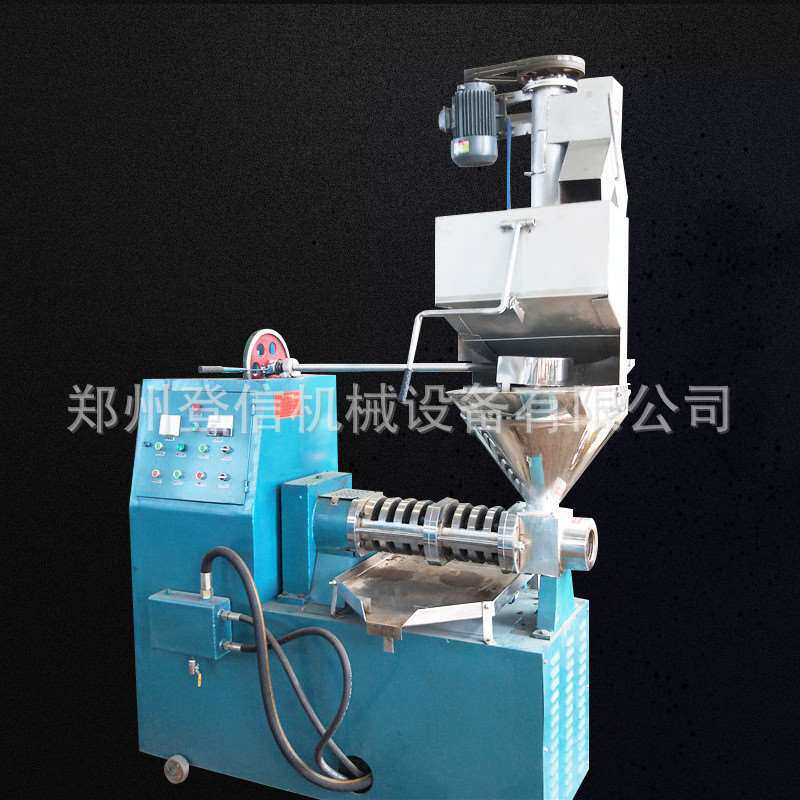 极速油桐籽螺o旋榨油机 食用油设备