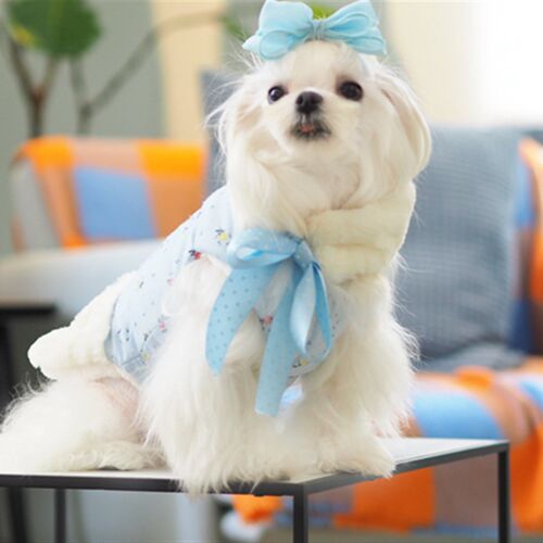 新品KZ 等风来 小体比熊泰迪犬宠物狗狗衣服秋冬季马Y尔济斯装无