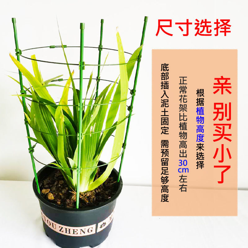 极速多层可伸缩爬藤架子花支架月季花F架室内花卉植物支撑杆绿萝