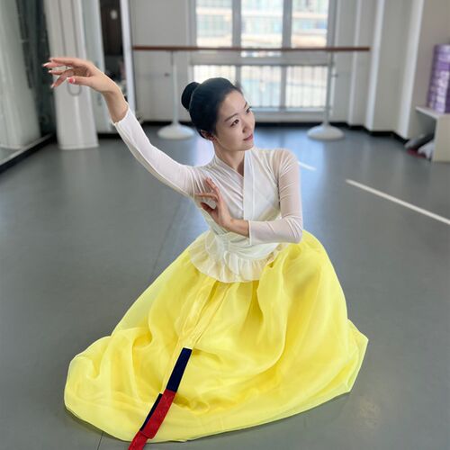 新品朝鲜族舞蹈服装女练功服x上衣大摆裙练习艺考演出表演民族民