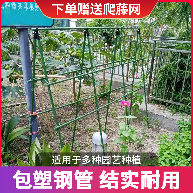 极速黄瓜架番茄豆角架子包u塑支撑杆田园花卉绿植架攀爬花架园艺