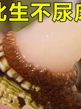 极速【告别尿床i】尿床遗尿贴儿童防尿床神器药宝宝成人止遗贴LM