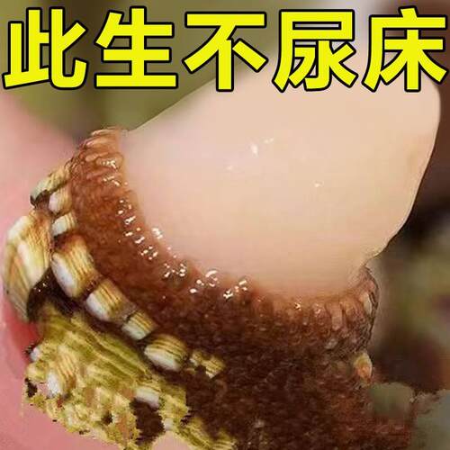 极速【告别尿床i】尿床遗尿贴儿童防尿床神器药宝宝成人止遗贴LM