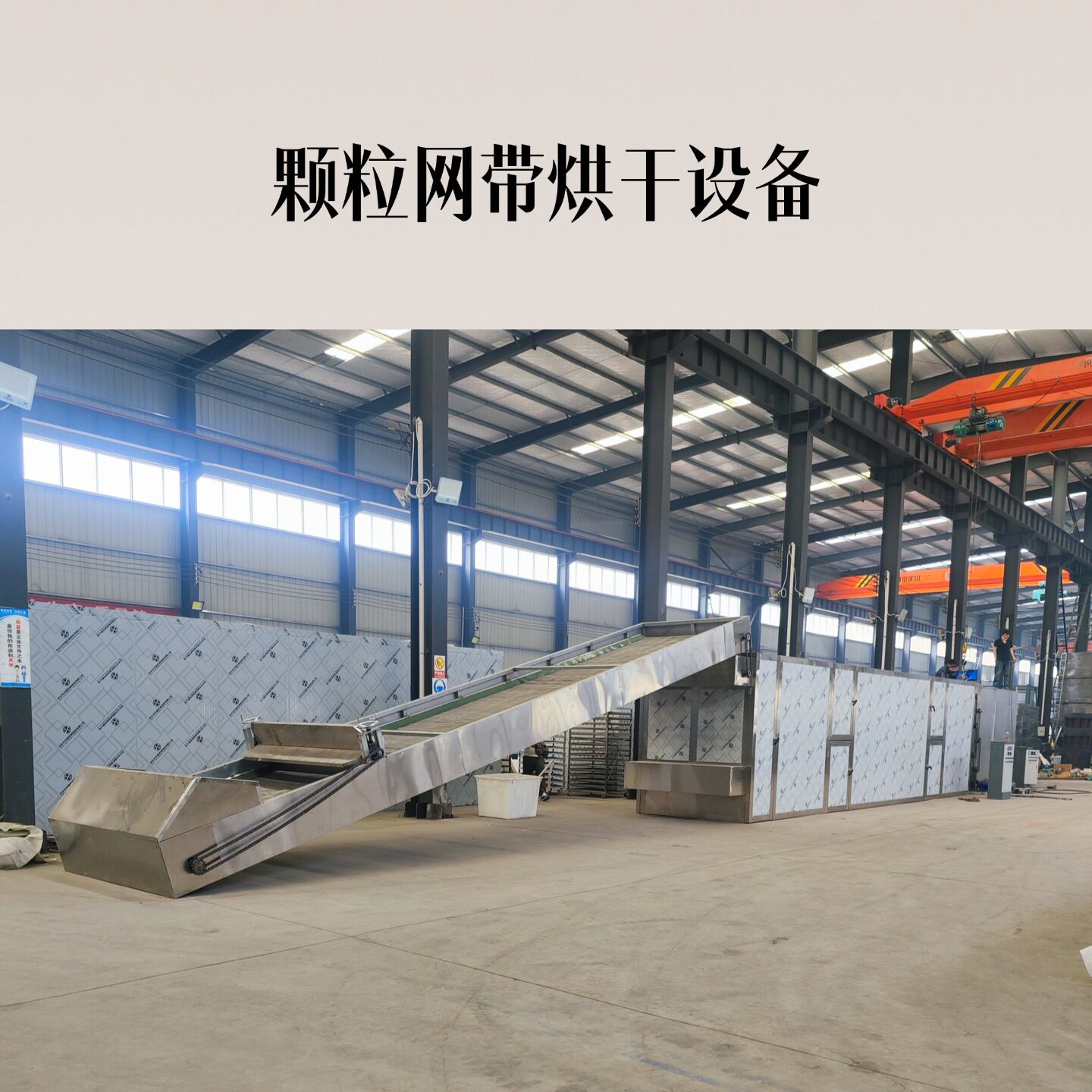 八角流水线连续式煤柴颗粒网带烘