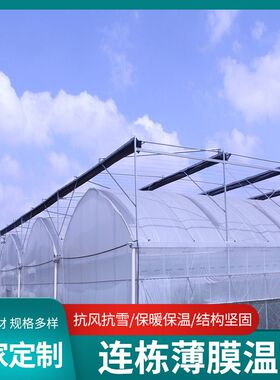 反季节大棚 塑料薄膜大棚 连栋温室 简易大棚 智能连栋温室