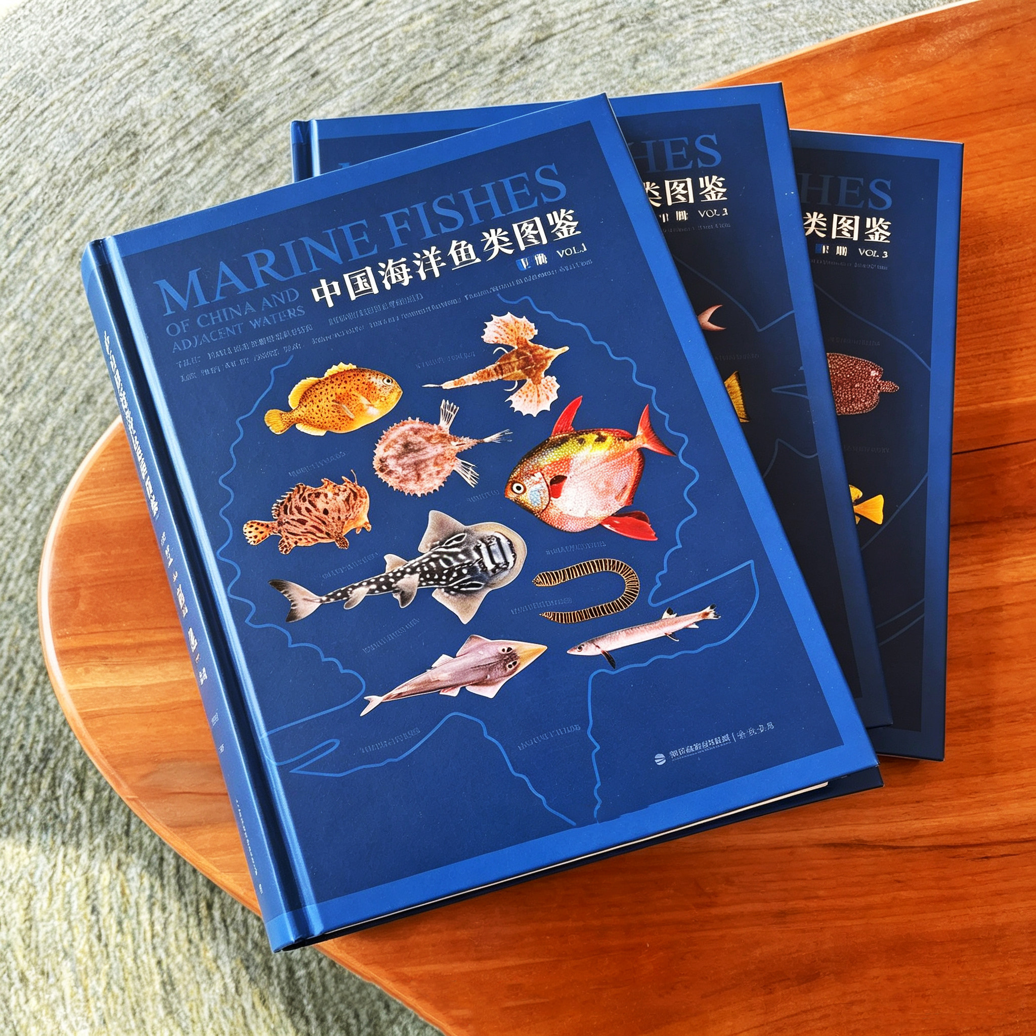 中国海洋鱼类图鉴 全套3册精装铜版纸海峡正版 介绍新中国4061种鱼类记录分布习性照片大全 适合儿童学生高档礼物鱼类科普百科全书