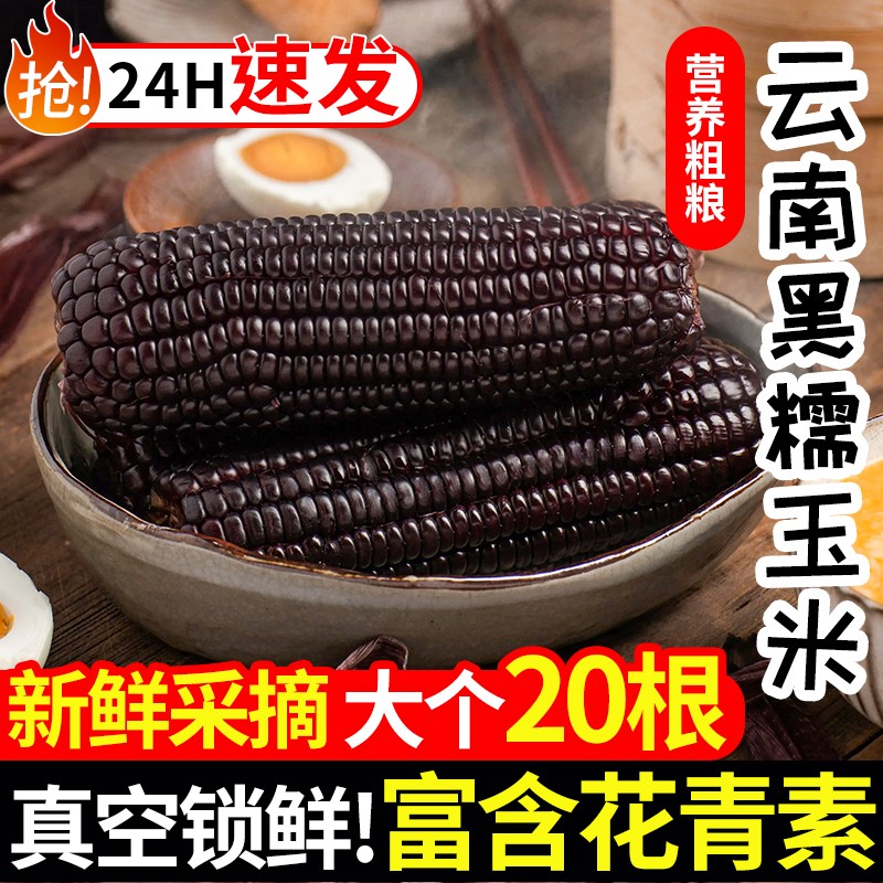 傣小糯云南黑糯玉米非东北甜糯黏苞米新鲜真空开袋加热即食黑玉米