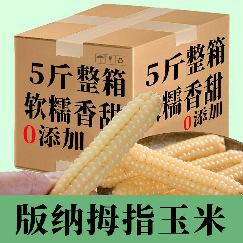 云南西双版纳拇指玉米即食早餐代餐新鲜傣家甜香糯迷你手指小玉米