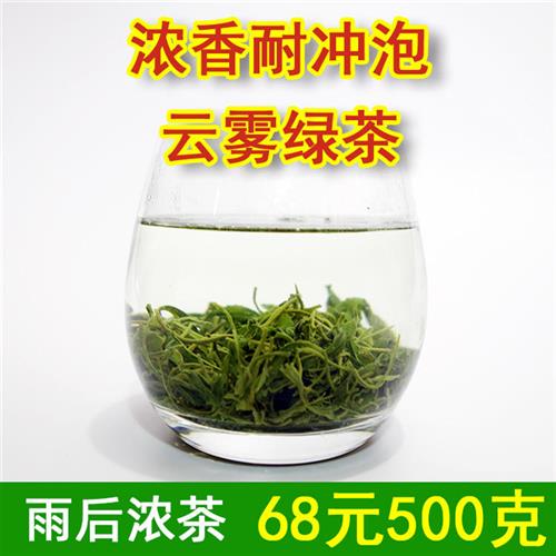 2023新茶雨后高山云雾绿茶 春茶 浓茶耐泡炒青绿茶散装一斤