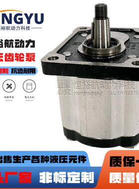 齿轮泵OT200P14D/G28P2 OT200P08D油泵 16D液压泵