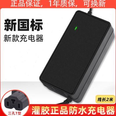 防雨防水电动车电瓶充电器48v12ah60v20ah72v小龟王三轮车通用款