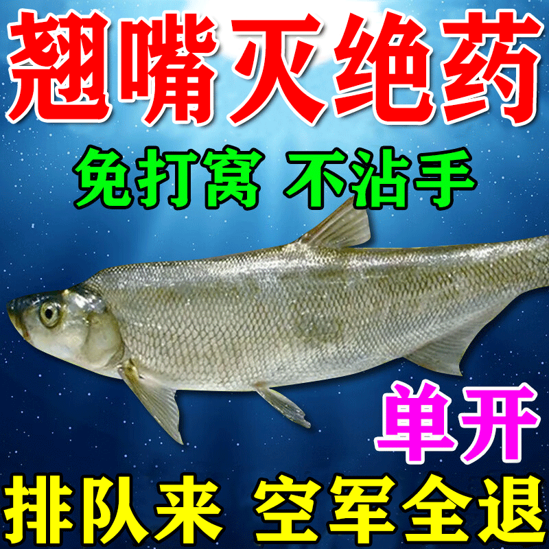 主攻翘嘴专用颗粒饵料血蚕昆虫饵比蚯蚓好用黑坑野钓免打窝颗粒饵