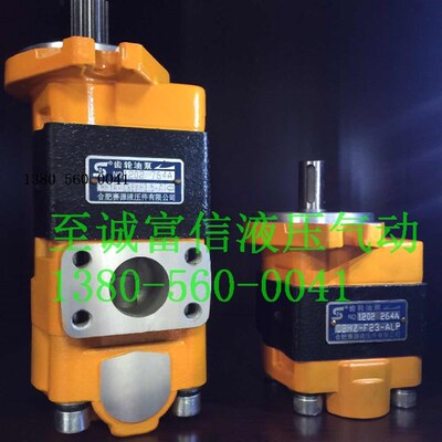 合肥赛源液压CBHYk-G30/F3.5-ATL双联齿轮油泵13齿花键轴堆高机