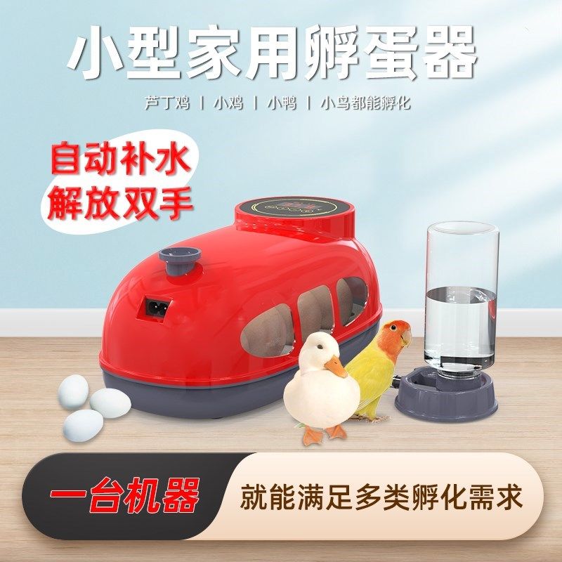 小孵化器小型家鸟用迷你孵化机全自动智能蛋芦鸡.丁鸡孵蛋箱,五金/工具,电热工具,淘宝优惠券,粉丝福利购,淘宝优惠卷