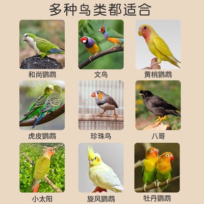 鸟笼鹦鹉笼子g家用珍珠玄凤八哥带繁殖箱专用豪华别墅虎皮活鸟