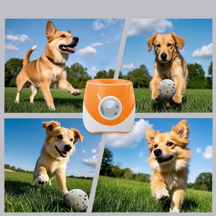 升级款自动ETPU球发球机中小型犬狗狗玩具发射Q器抛球投球机耐咬