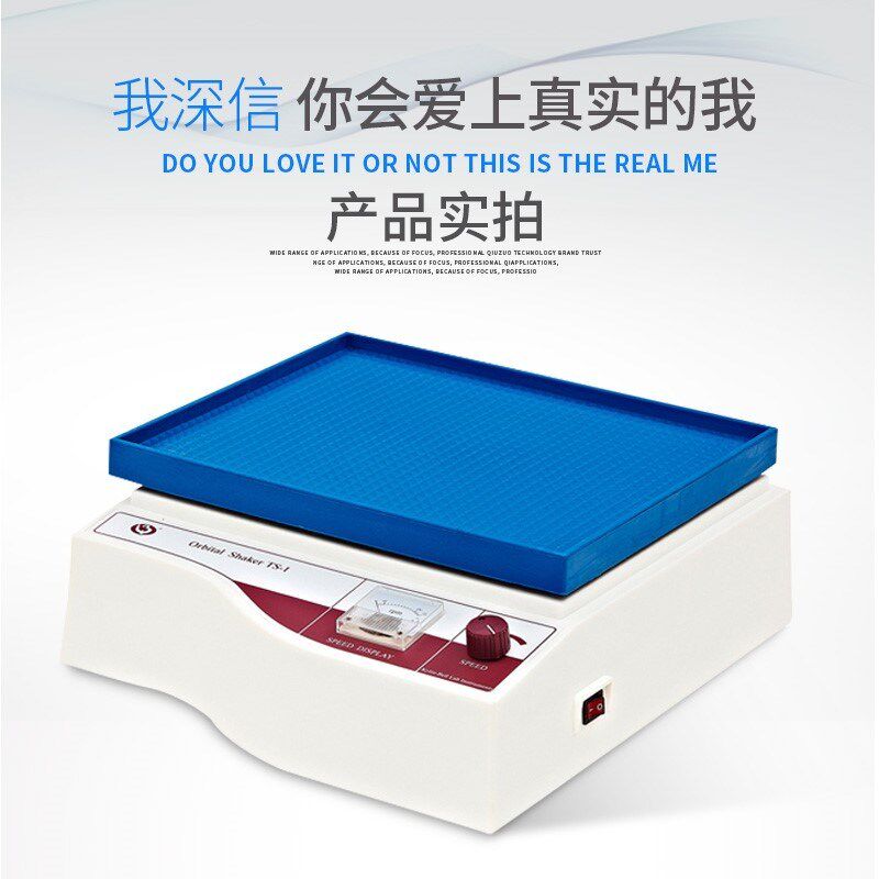 其林贝尔脱色摇床h数显定时TS-1000实验室摇床TS-双层TS-1TS-200