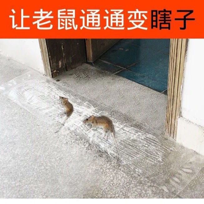 1.2米老鼠贴灭鼠毯粘鼠板强力大号加厚隐形捕鼠神器抓大老鼠家用