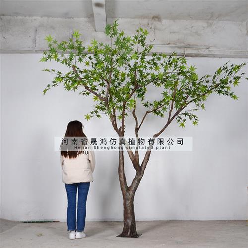 枫树仿真树大型植物假树枫树盆栽实木白桦树仿真绿植盆景枫杨树